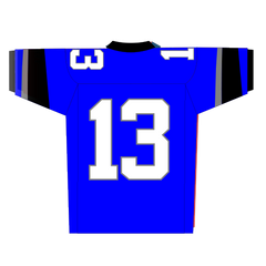 Dallas Bulls (Fan Jersey)