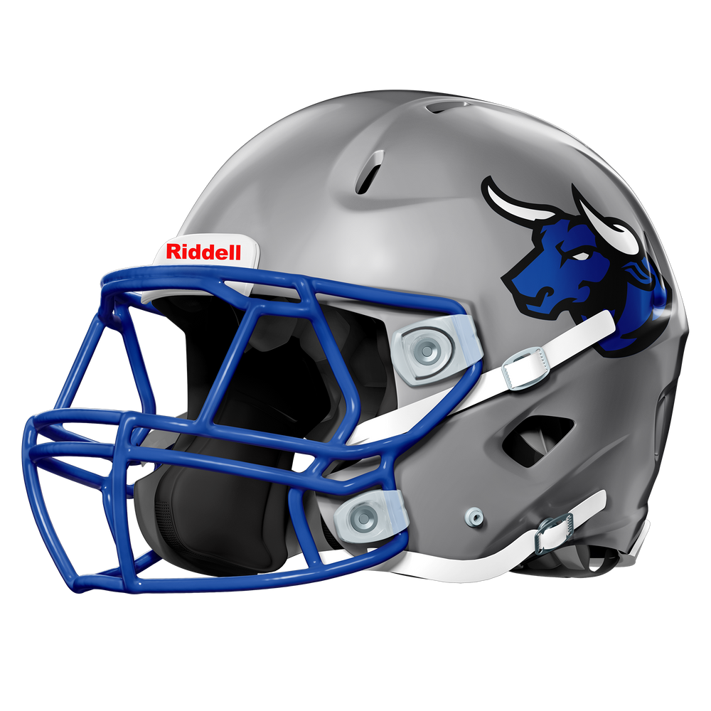 dallas football helmet Cowboys AMP Custom Talk about taking your fandom to the next level Dallas Bulls | Mini Helmet