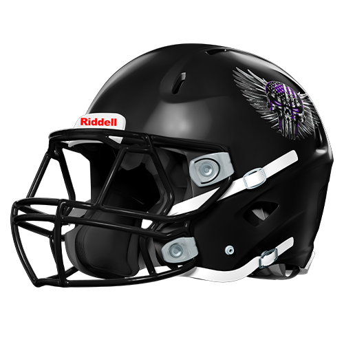 Pueblo Punishers | Mini Helmet